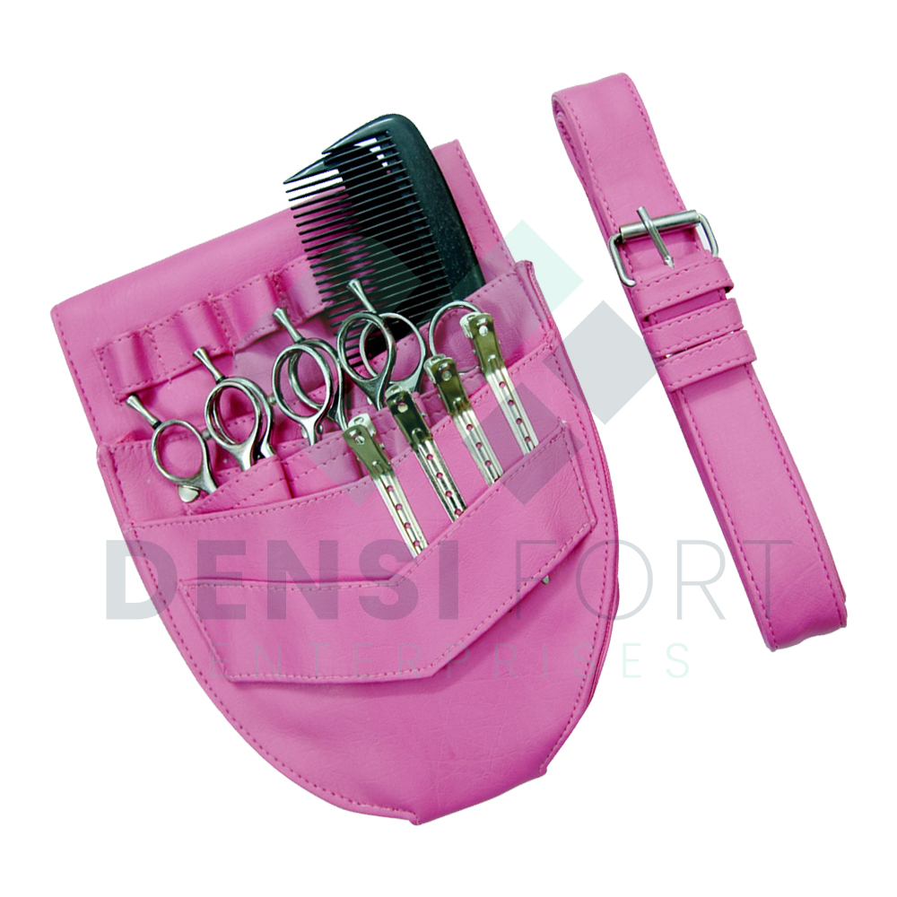 Standard Holster